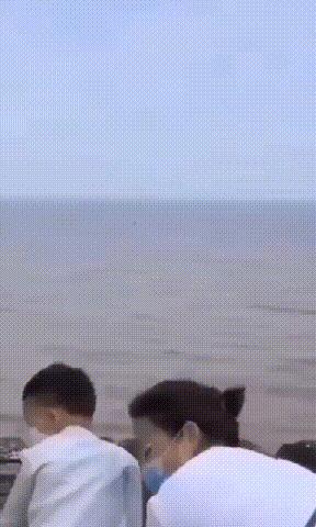 品质 第482页