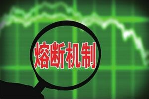 2025新澳精准资料|精选解释解析落实