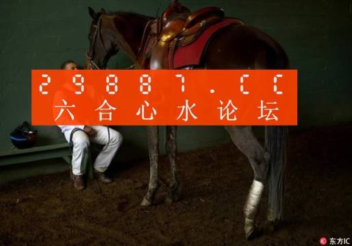 管家一码中一肖必中|精选解释解析落实