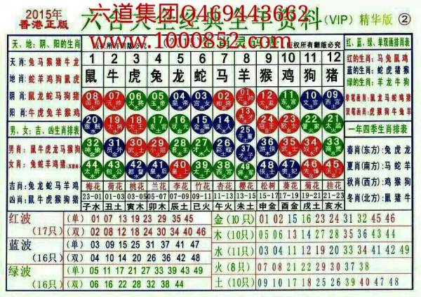 2025十二生肖49码表|精选解释解析落实