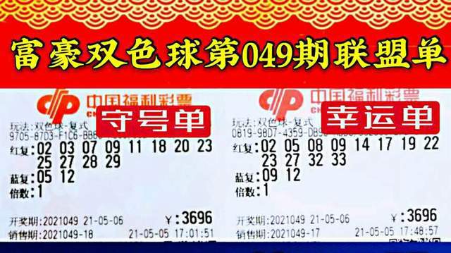 2025特马今晚开奖|精选解释解析落实