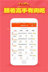 二四六天天彩资料大全网址,二四六天天彩资料大全网址，探索彩票世界的门户