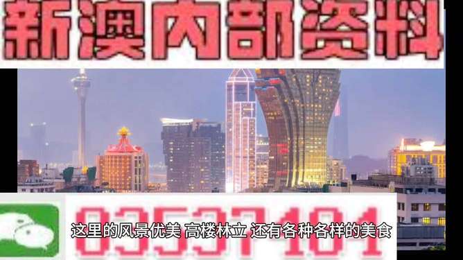 新澳门精准资料大全管家资料,澳门精准资料大全与管家资料，探索现代澳门的多元魅力