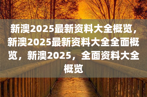 新澳2025年精准资料,新澳2025年精准资料概览