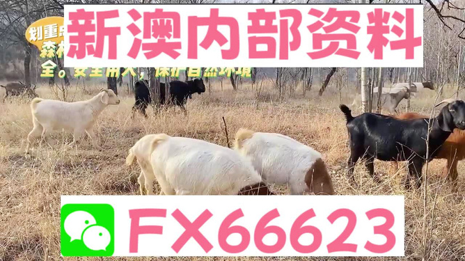 新澳2025今晚开奖资料四不像,新澳2025今晚开奖资料四不像，探索彩票世界的神秘面纱