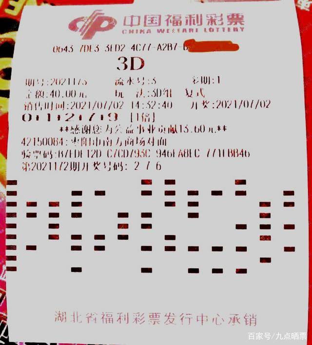 494949澳门今晚开什么,澳门今晚彩票开奖预测与探讨