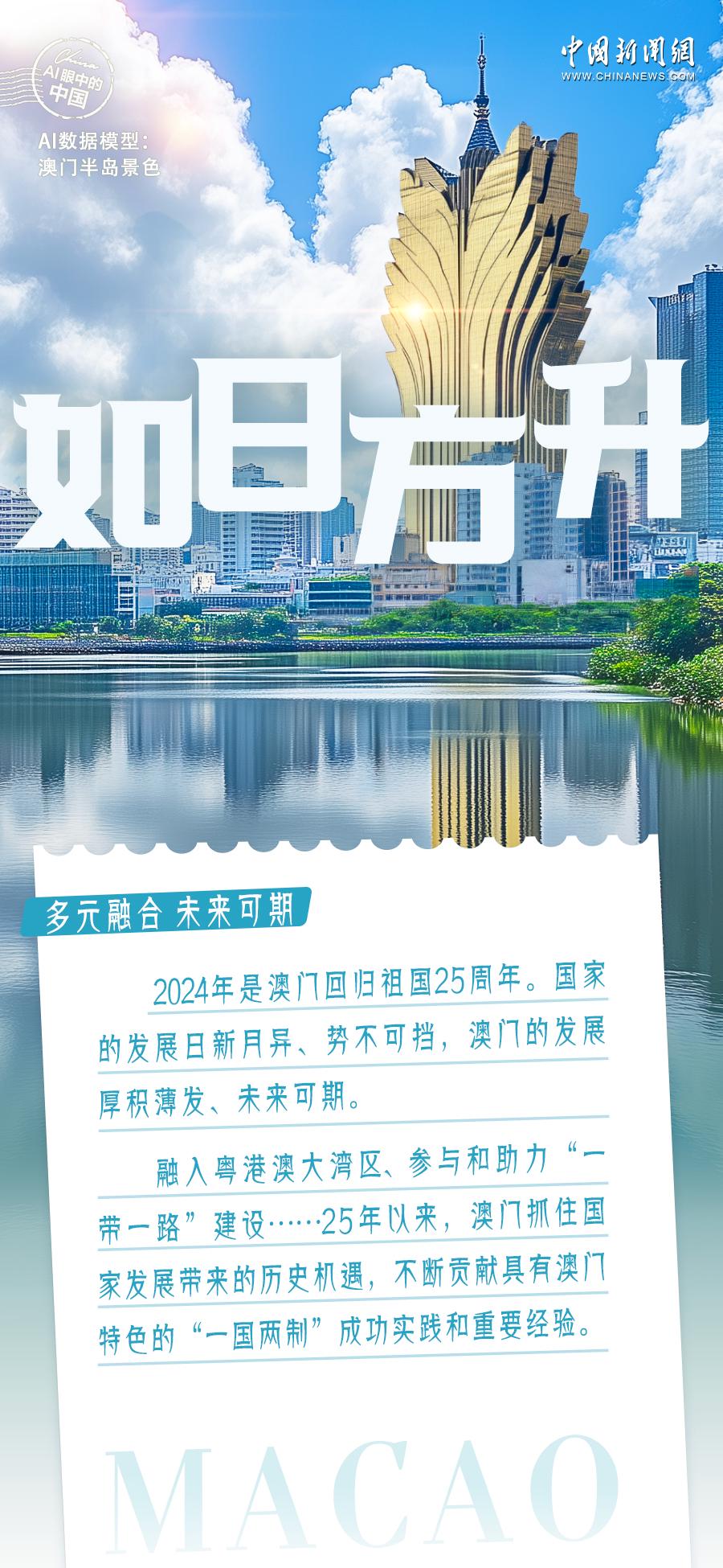 澳门王中王100%的资料2025年,澳门王中王未来展望，2025年的全新面貌与资料解析