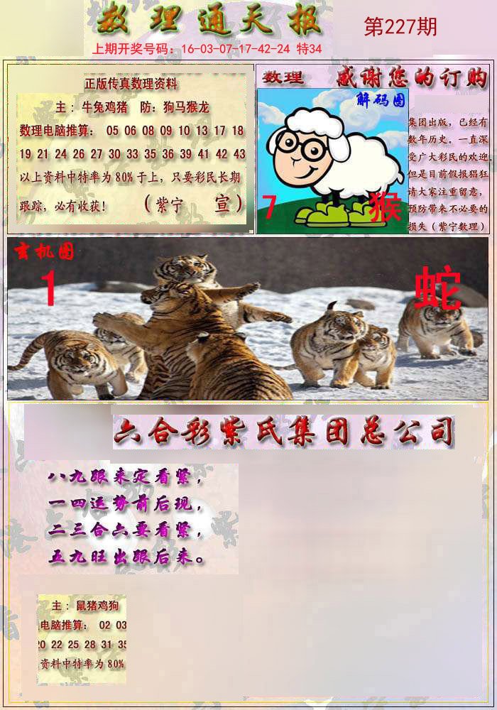 2025新澳今晚资料四不像图,探索未来，新澳今晚资料四不像图的深度解读与预测分析