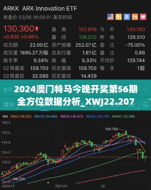 2025新澳门特马今晚开什么,澳门特马今晚开什么，探索未来的幸运之门