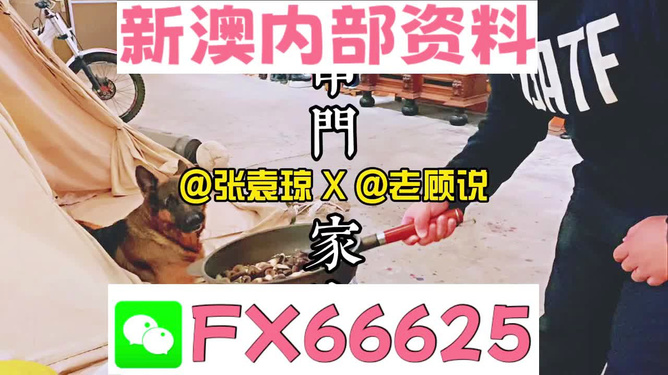 澳门管家婆,澳门管家婆，传统与现代融合的家政服务典范