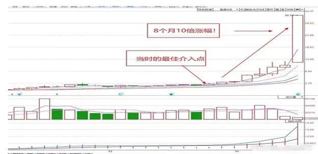 一码一肖100准正版资料,一码一肖，揭秘正版资料的精准世界 100%准确预测背后的秘密