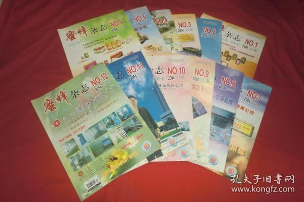2004年澳门天天开好彩大全,2004年澳门天天开好彩大全——回顾历史，展望未来