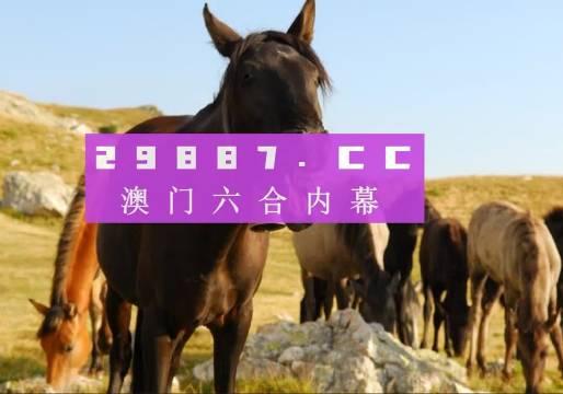 2025澳门管家婆一肖,澳门未来展望，探索与解读管家婆一肖的奥秘（2025展望）