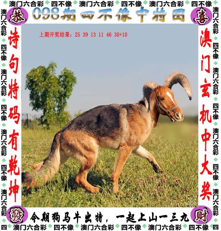 四不像323期图生肖图,四不像323期图生肖图，神秘符号背后的文化魅力
