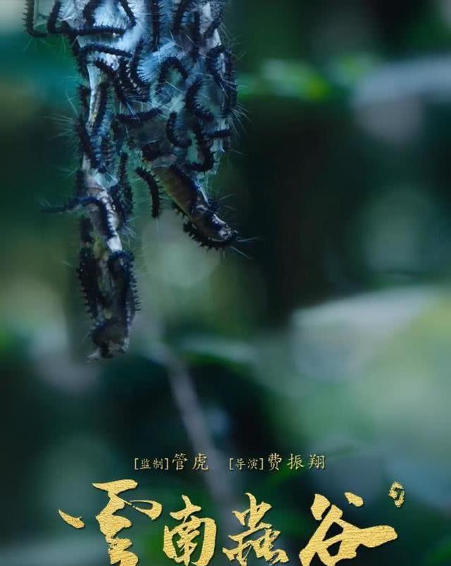 白小姐正版四不像中特小说,白小姐正版四不像中特奇幻小说，迷雾中的真相